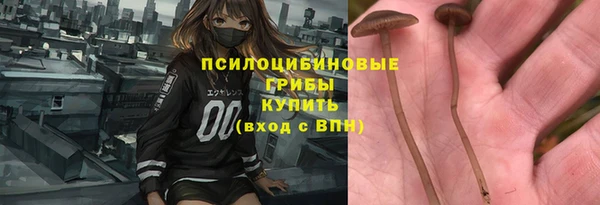 spice Кулебаки
