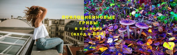 a pvp Кукмор